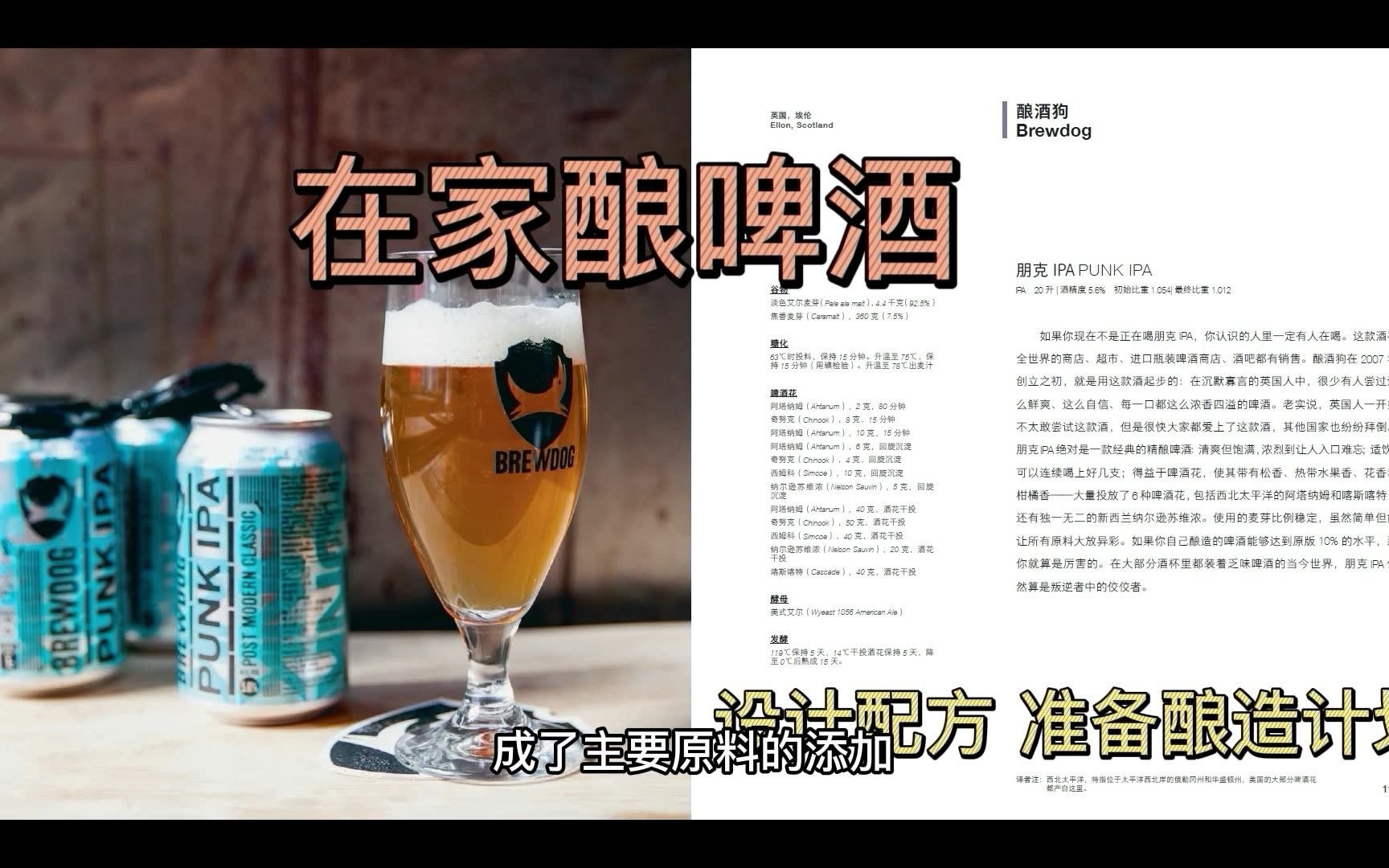 [图]在家酿啤酒-punkIPA-2-酿造计划