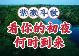 Download Video: 看你的初夜何时到来。紫微斗数与八字案例讲解。