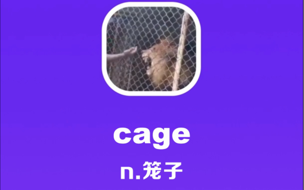 cage:笼子哔哩哔哩bilibili