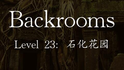 Backrooms level 30 超越现实如果你没有挂，恐怕你回不去了！_哔哩哔哩_bilibili