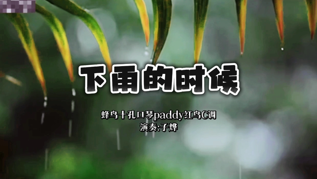 下雨的时候【蜂鸟paddyC调口琴】
