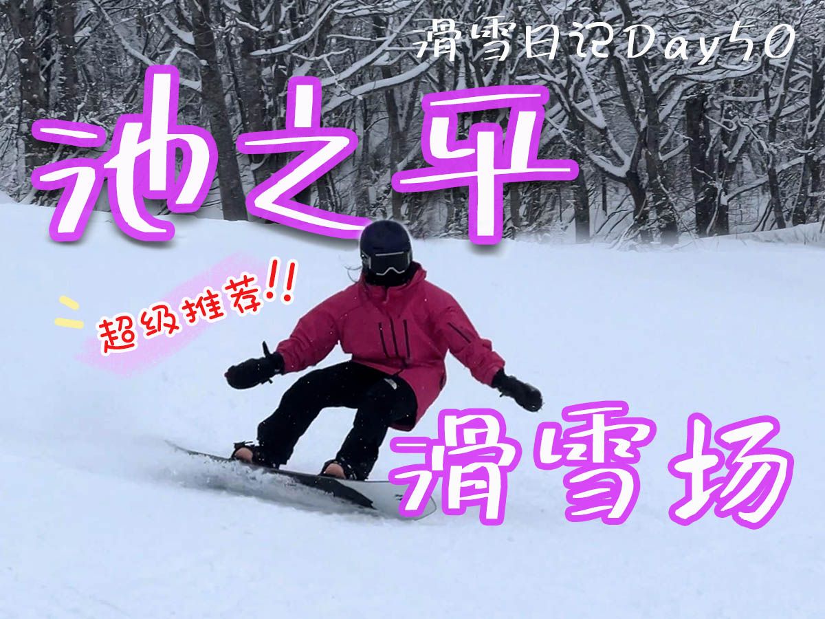 滑雪日记|爽滑宝藏雪场人少还有小树林钻|日本新潟池之平滑雪场哔哩哔哩bilibili