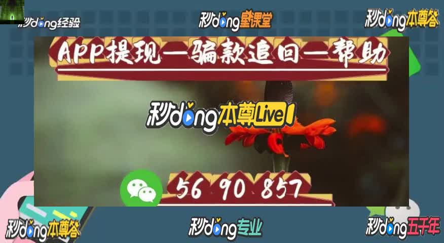 被骗亏损严重,内心胆寒!