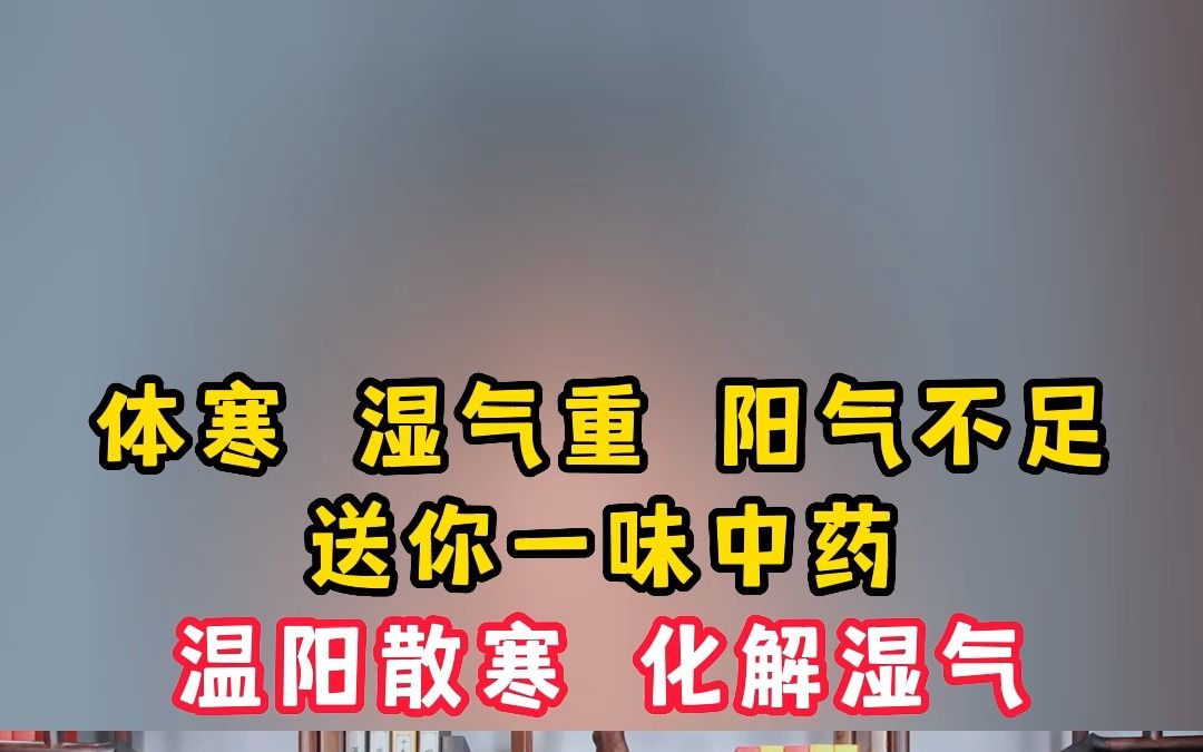 体寒 湿气重 阳气不足,送你一味中药,温阳散寒 化解一身湿气