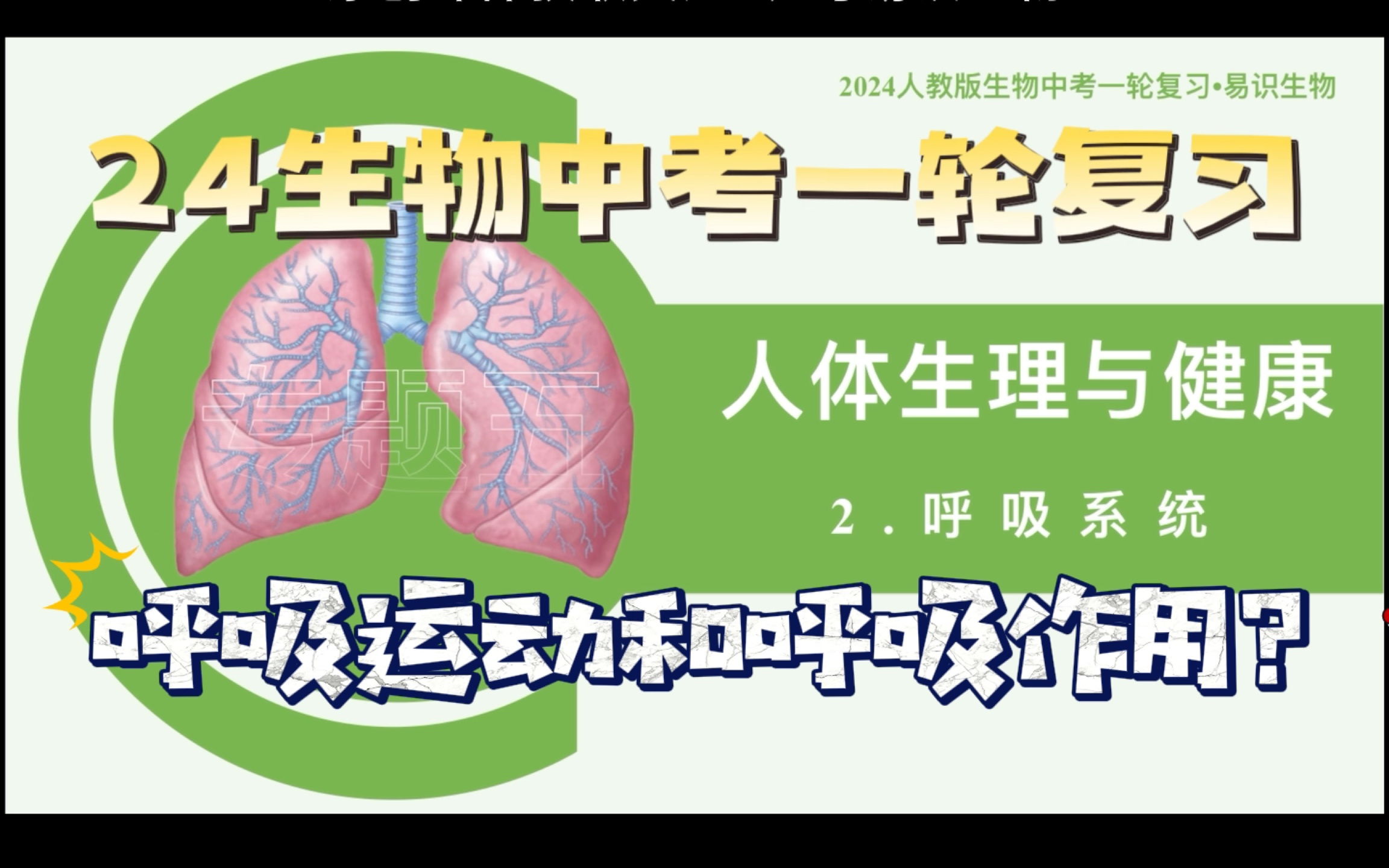 [图]易识生物｜2024人教版生物会考｜一轮复习｜专题五  人体生理与健康 第2节 呼吸系统