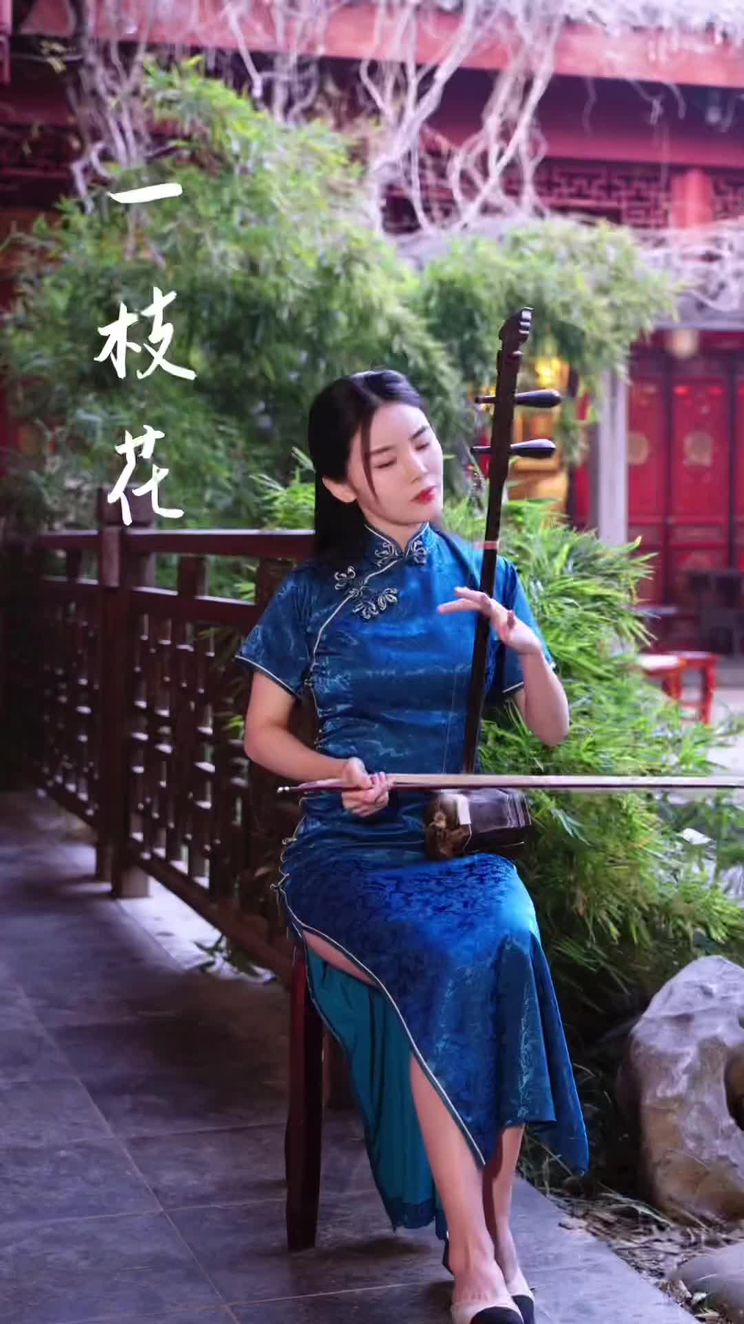 二胡 十级曲目《一枝花》 ,电视剧《武松》音乐也用到过,有没有人觉得这段旋律很熟悉? 二胡教学哔哩哔哩bilibili