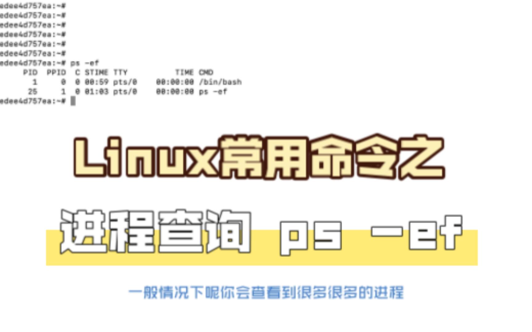 Linux常用命令之ps ef 查看进程和 grep进程哔哩哔哩bilibili