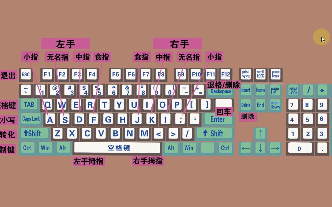 零基礎學電腦打字,快速學會鍵盤打字,適合初學者學習