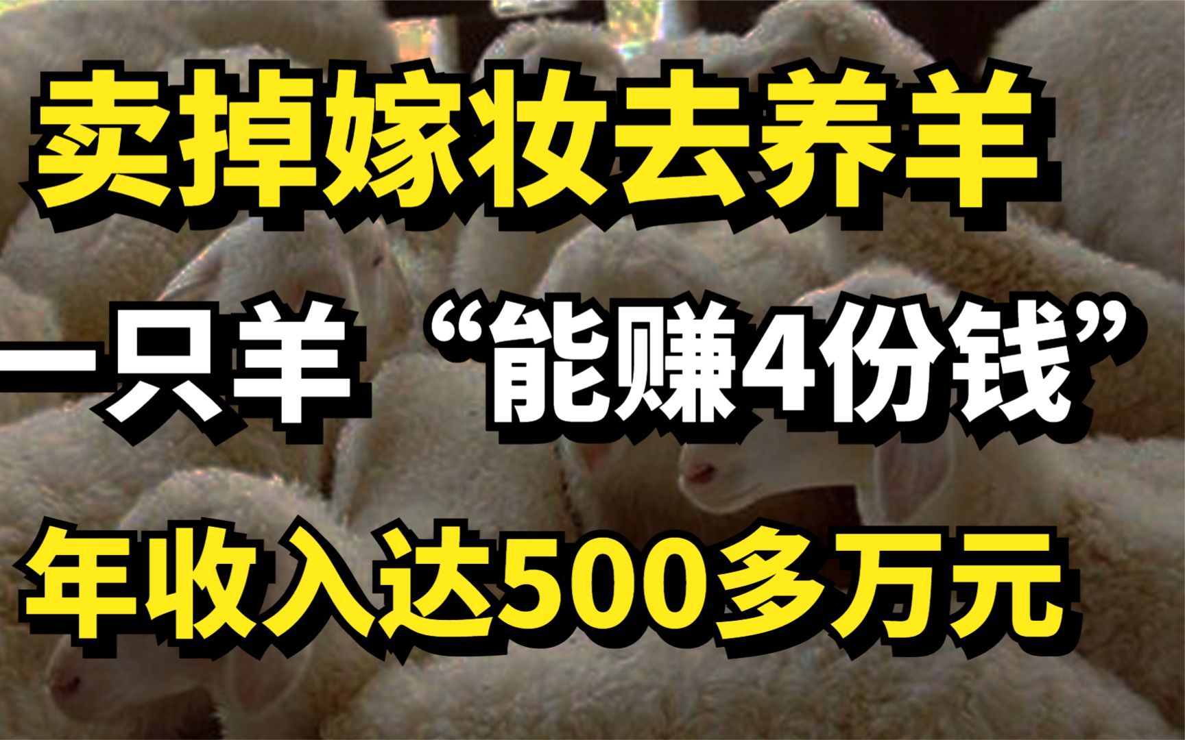 卖掉嫁妆去养羊,一只羊“能赚4份钱”,年收入达500多万元!哔哩哔哩bilibili