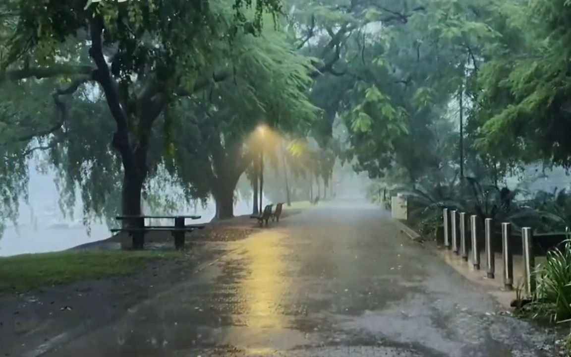 [图]“梧桐叶上雨声长”