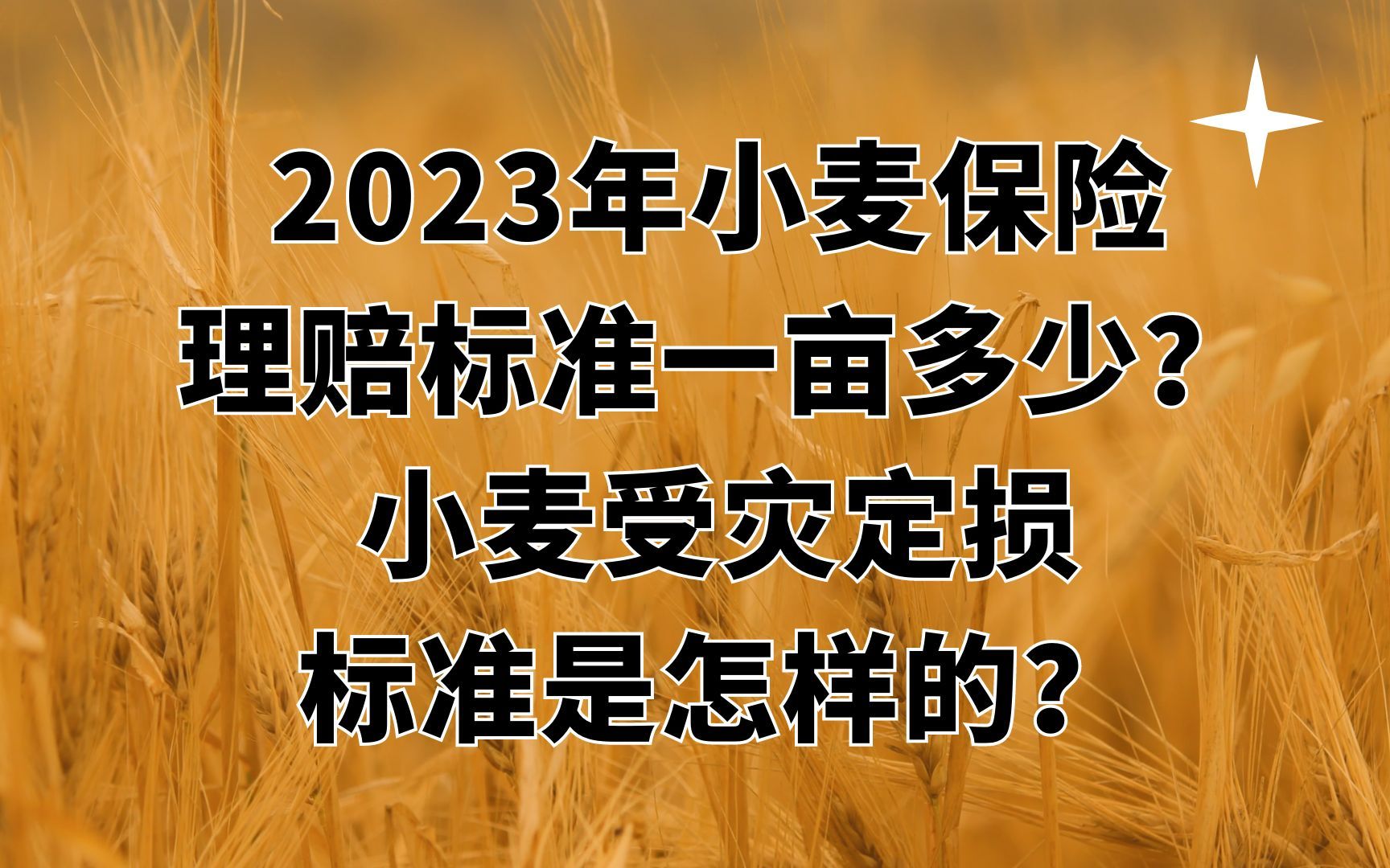 2023年小麦保险理赔标准一亩多少?小麦受灾定损标准是怎样的?哔哩哔哩bilibili