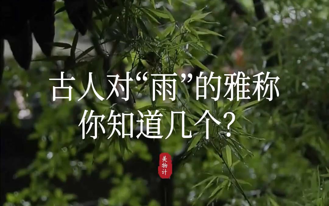 古人对“雨”的雅称,你知道几个?在诗人笔下,每一场雨,都浪漫至极.哔哩哔哩bilibili