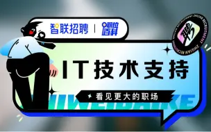 Download Video: 【IT技术支持】