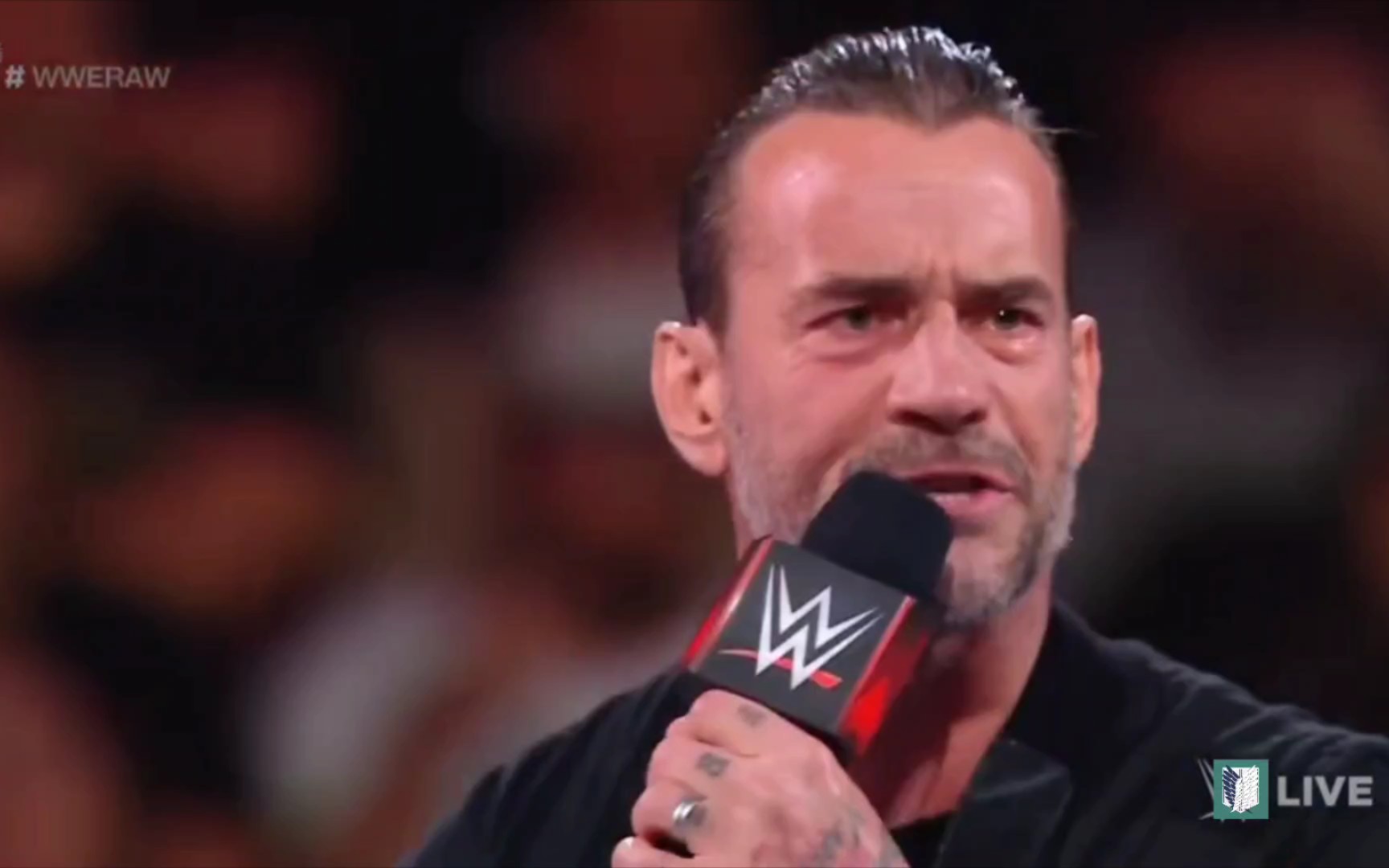 cm朋克:我的三头肌撕裂 无缘摔跤狂热大赛 祝科迪完成自己故事