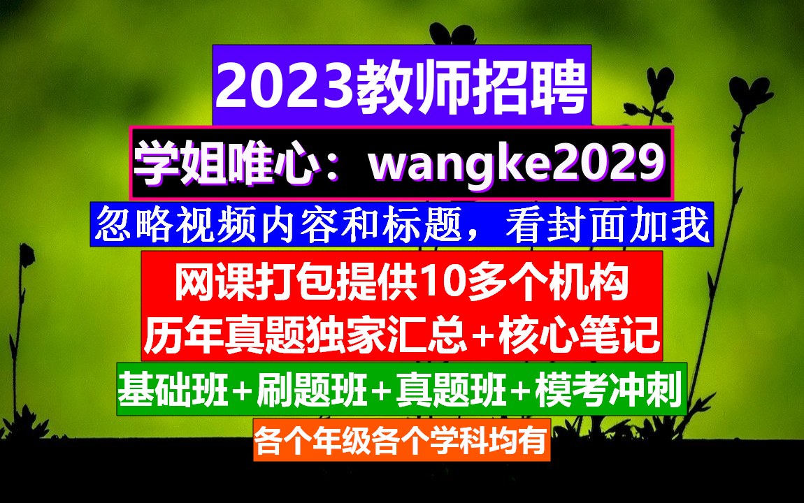 2023全国教师招聘初高中历史,教师求职简历模板范文,教师招聘信息哔哩哔哩bilibili