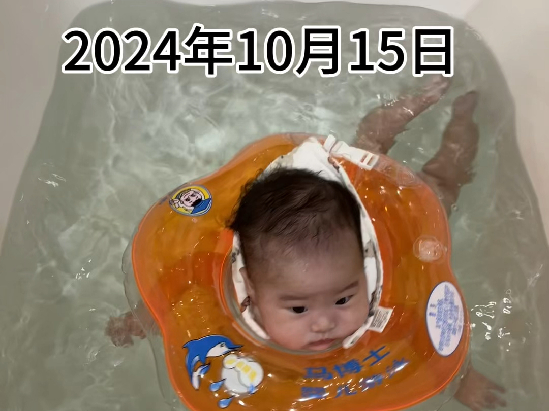 #锦禾的小生活 2024年10月15日.超级爱游泳的小锦禾~哔哩哔哩bilibili