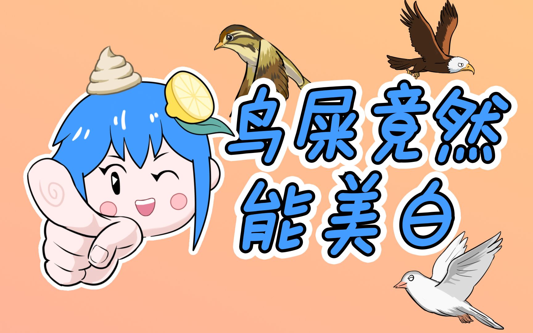 鸟屎竟然能美白!想试试鸟屎面膜吗?