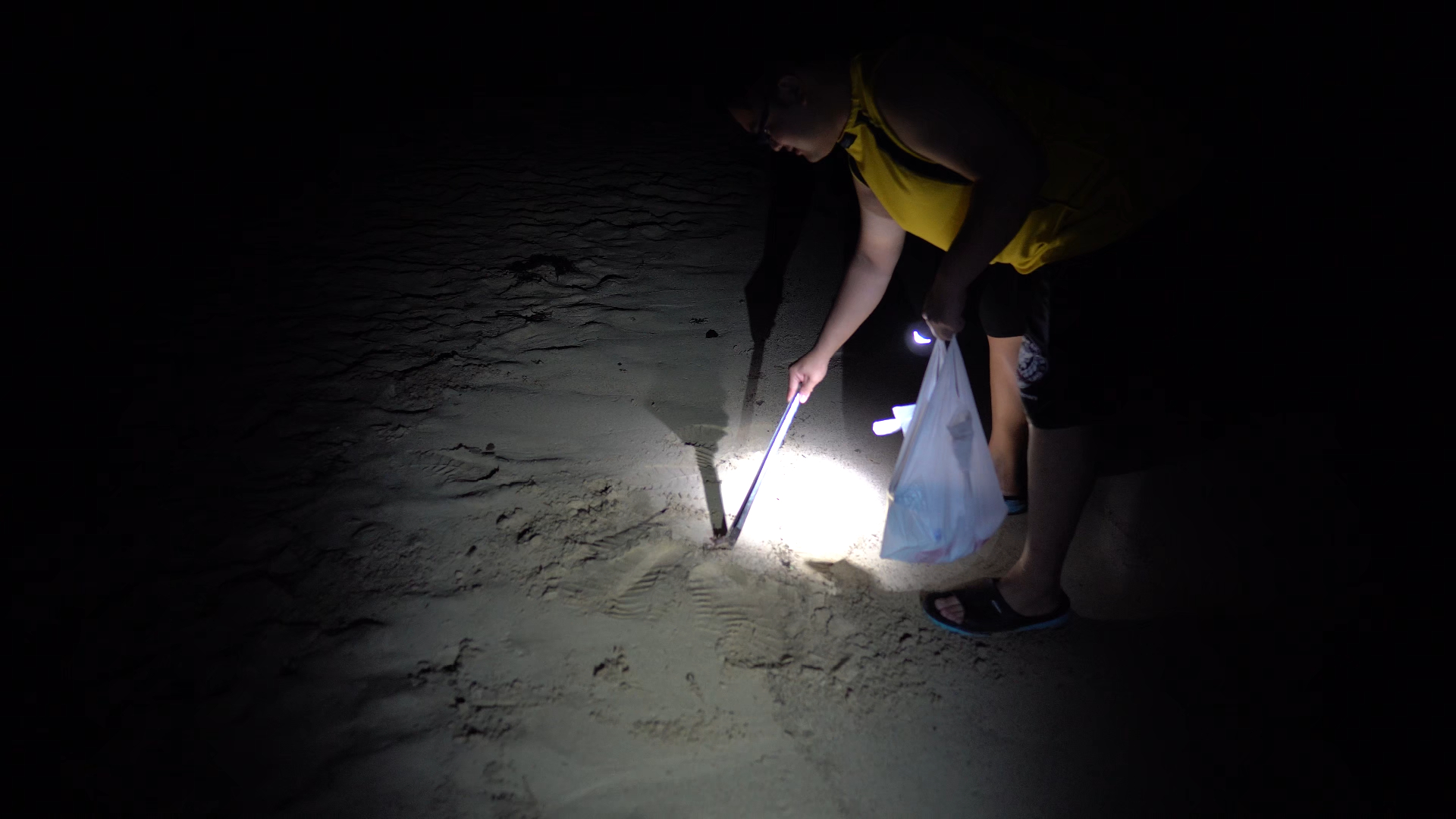 在夜晚的无人沙滩上抓螃蟹-静冈