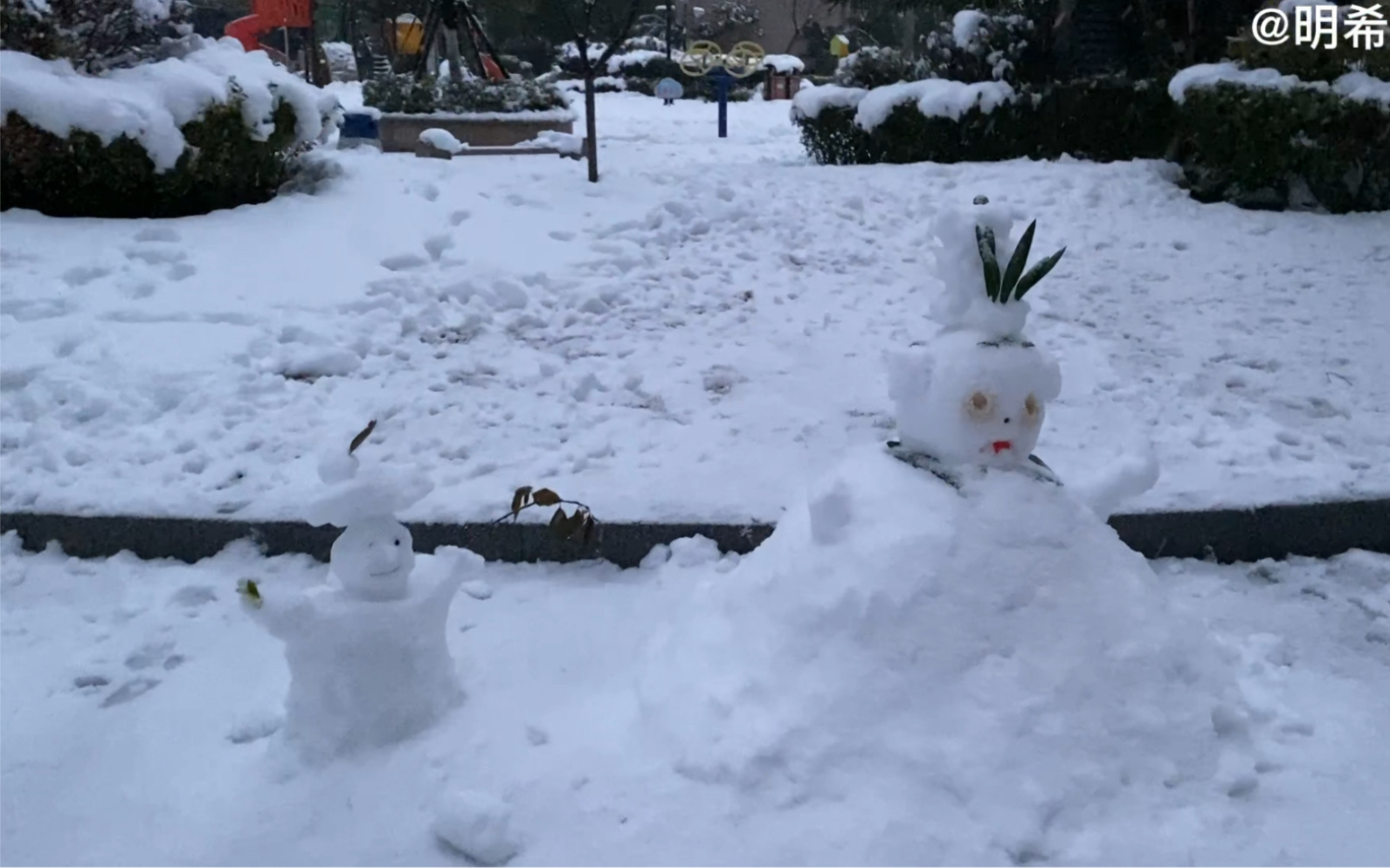 2022年南京的第一場大雪堆雪人打雪仗今年在南方看夠了下雪天