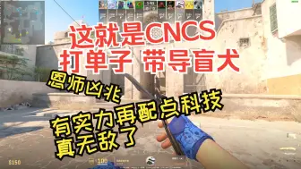 Download Video: 【CS鉴挂】预瞄跟凶兆一样 有实力还得拴个导盲犬一起 打单子效率拉满