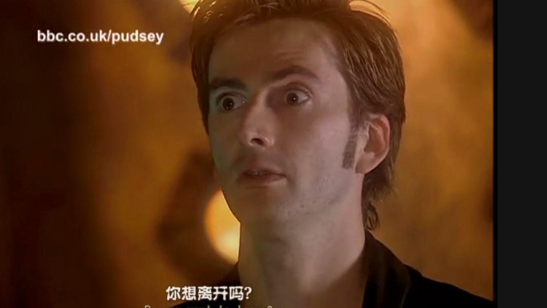 [图]【圣诞入侵cut】不被Rose接受的失落小狗（1/7）【David Tennant/神秘博士】【2005年慈善短片Children in Need】