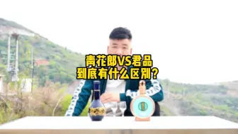 Download Video: 郎酒的青花郎和君品哪个更好喝？