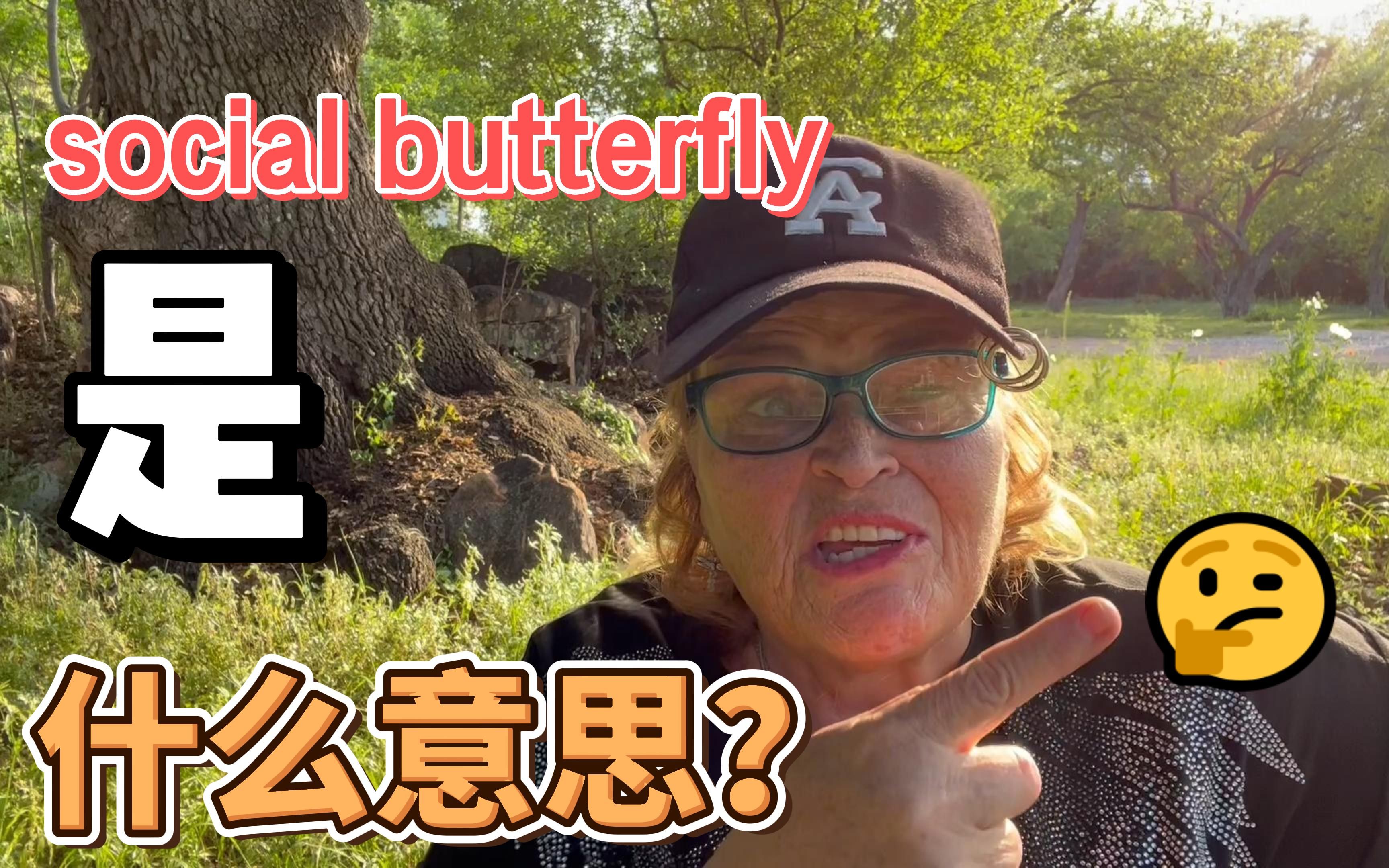 social butterfly是什么意思?哔哩哔哩bilibili