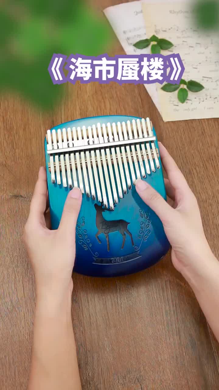 海中月镜中花蜃中楼梦中你海市蜃楼好音乐推荐拇指琴入门教学do