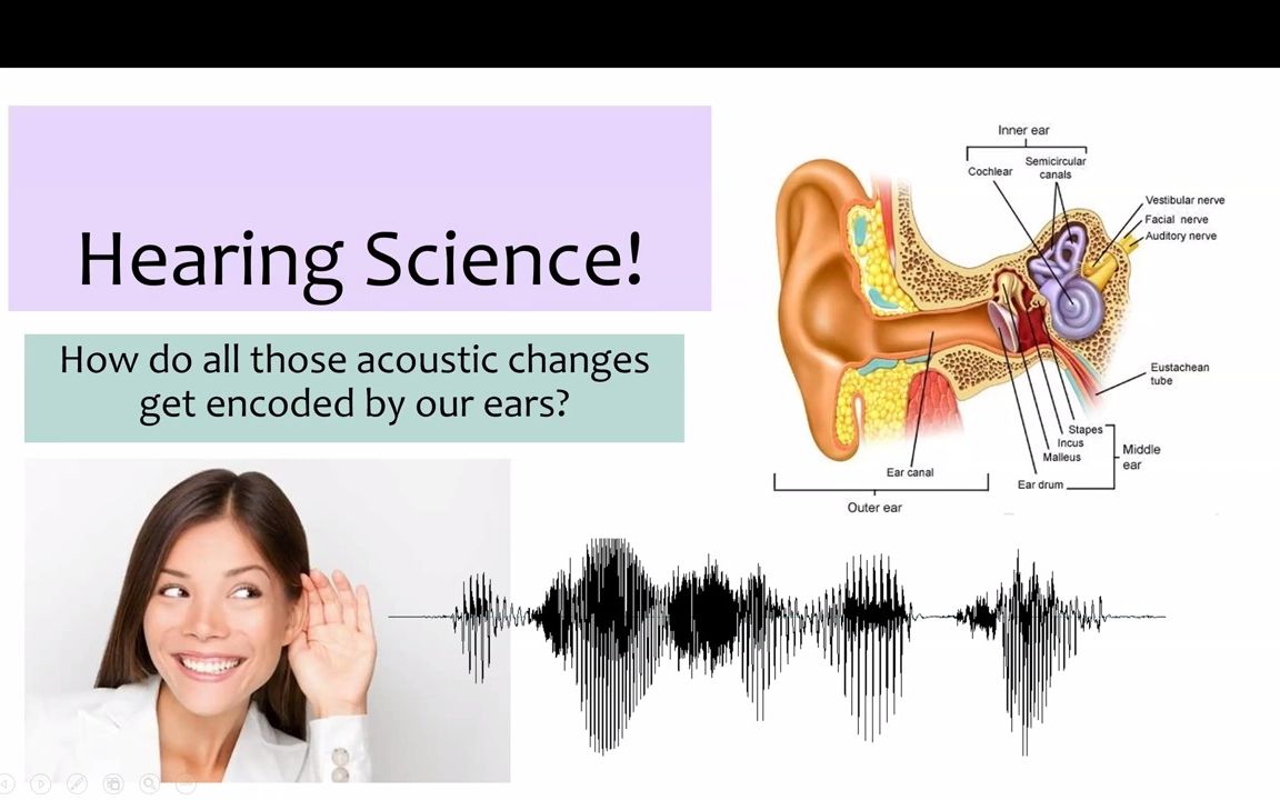 Hearing science 1  overview听觉科普概要哔哩哔哩bilibili