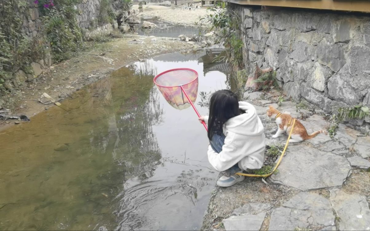 周末带两崽崽去外婆家抓鱼,爱吃鱼的猫咪让人意外哔哩哔哩bilibili