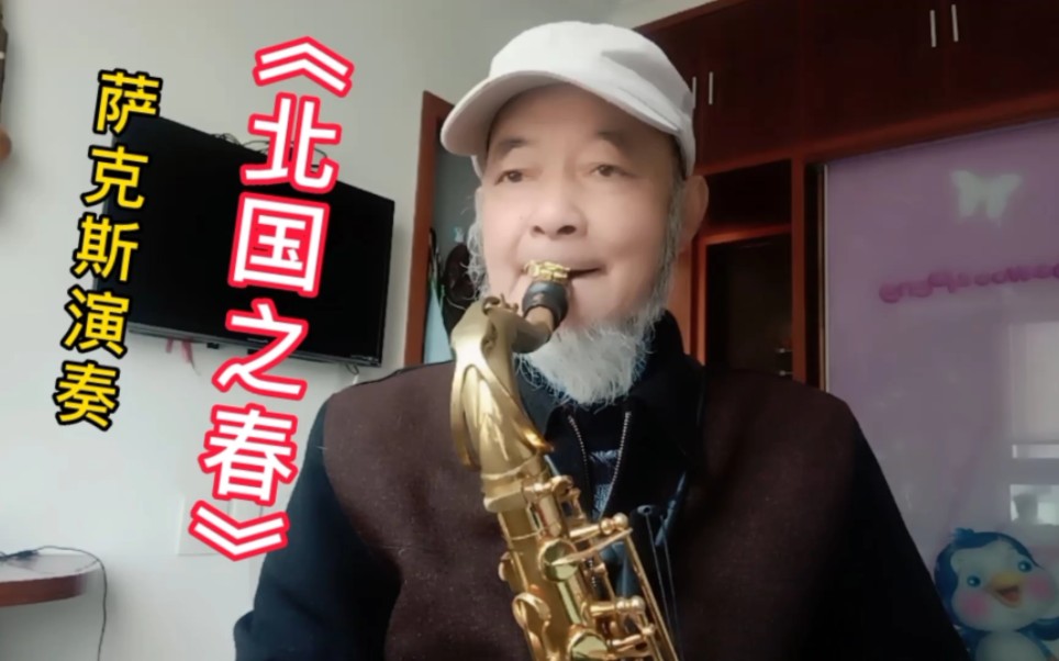 萨克斯演奏《北国之春》