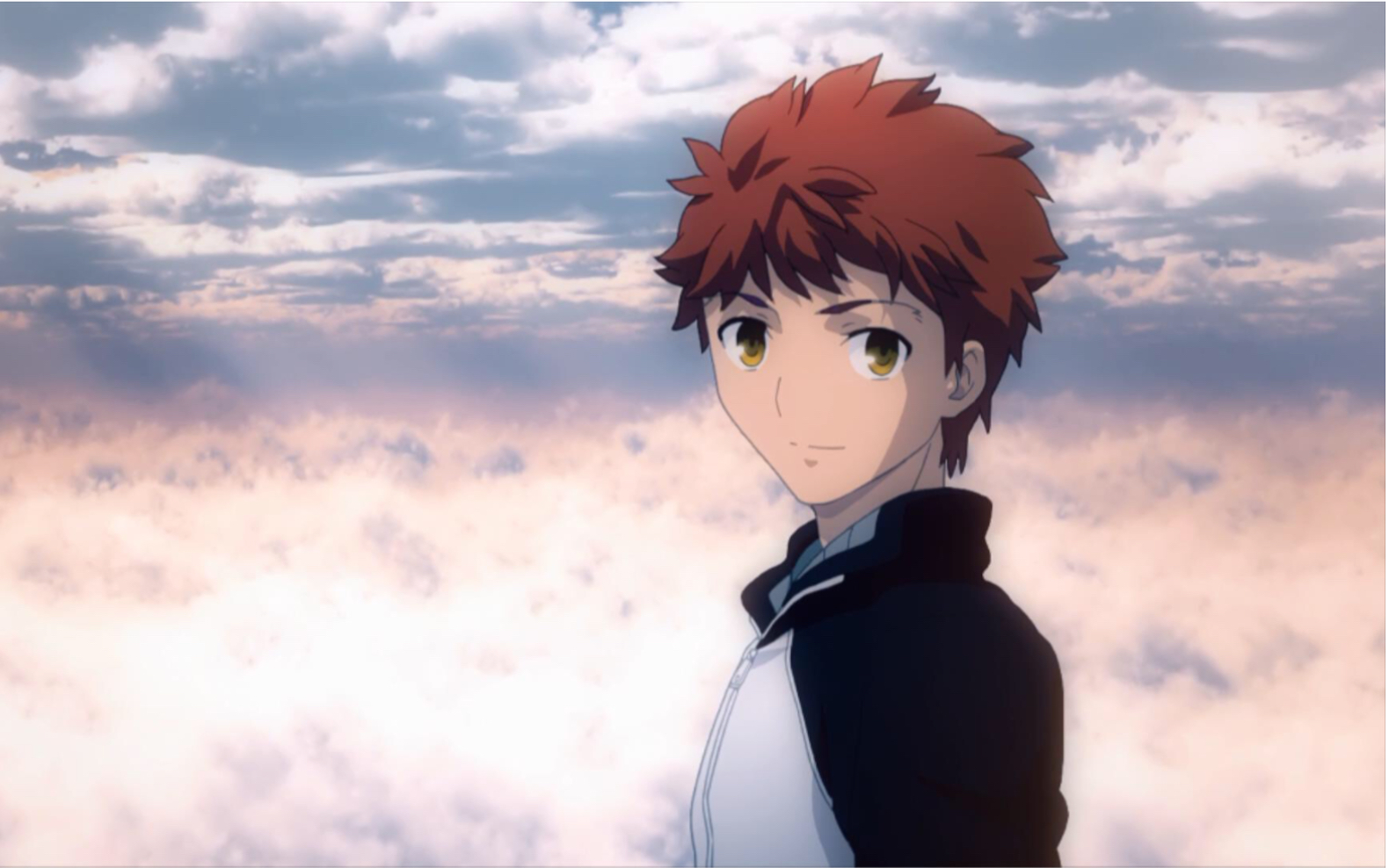 【卫宫士郎/视听享受】即使是伪善,也要将这份信念贯彻到最后_哔哩