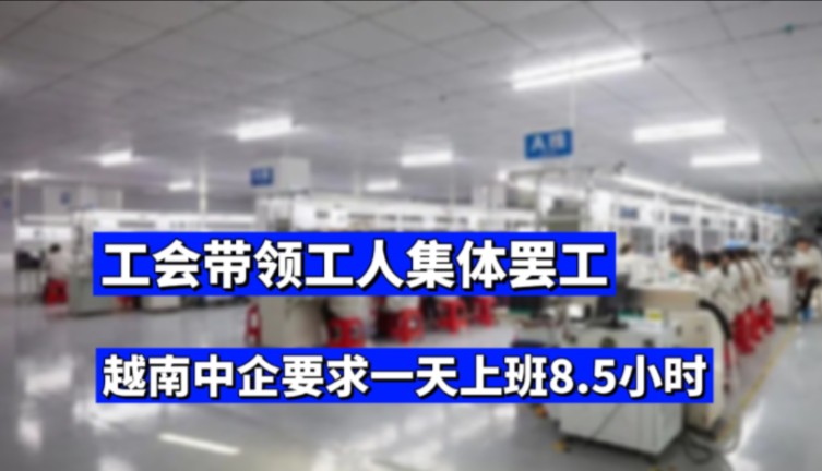 中企要求一天上班8.5小时,越南工会带领打工人集体罢工!#就业 #社会百态 #财经 #打工人 #工会哔哩哔哩bilibili