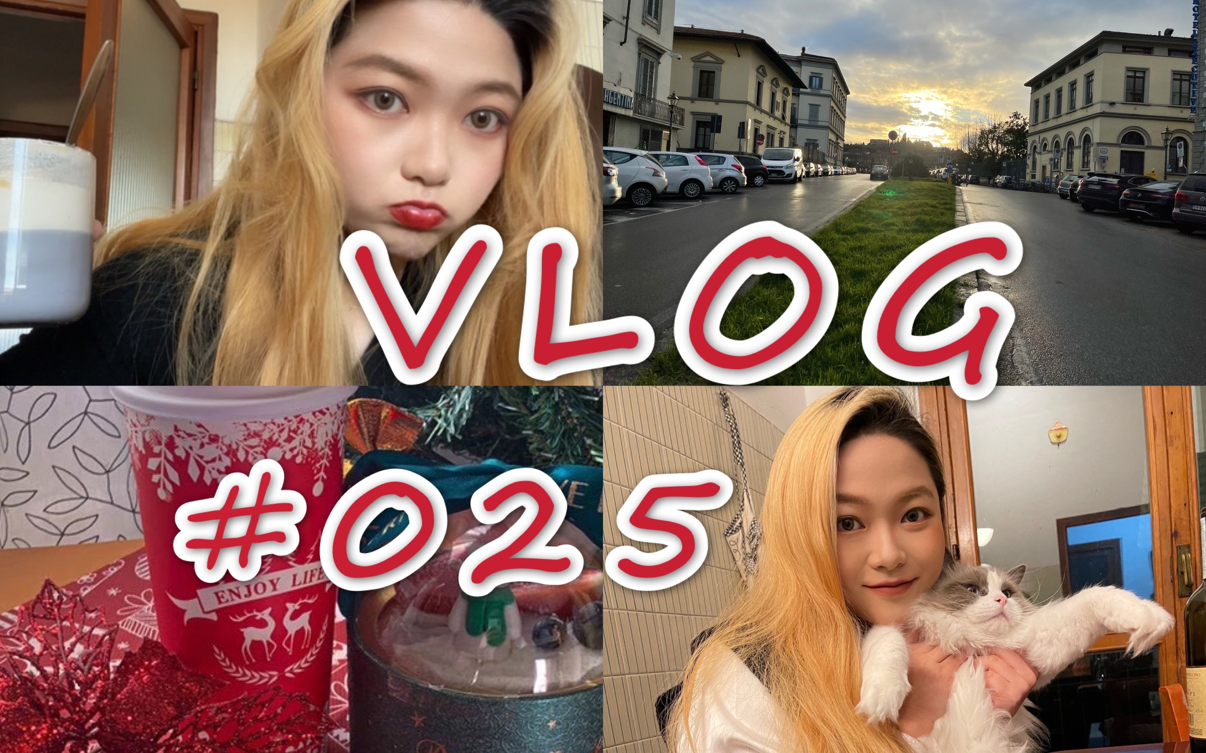 [小蒲 近期日常碎片VLOG025] 圣诞假期结束 | 我好爱我的猫哔哩哔哩bilibili