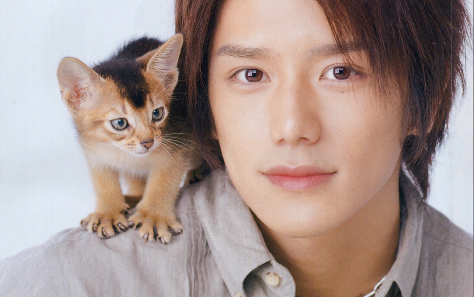 【太阳的季节】津川龙哉x和泉英子