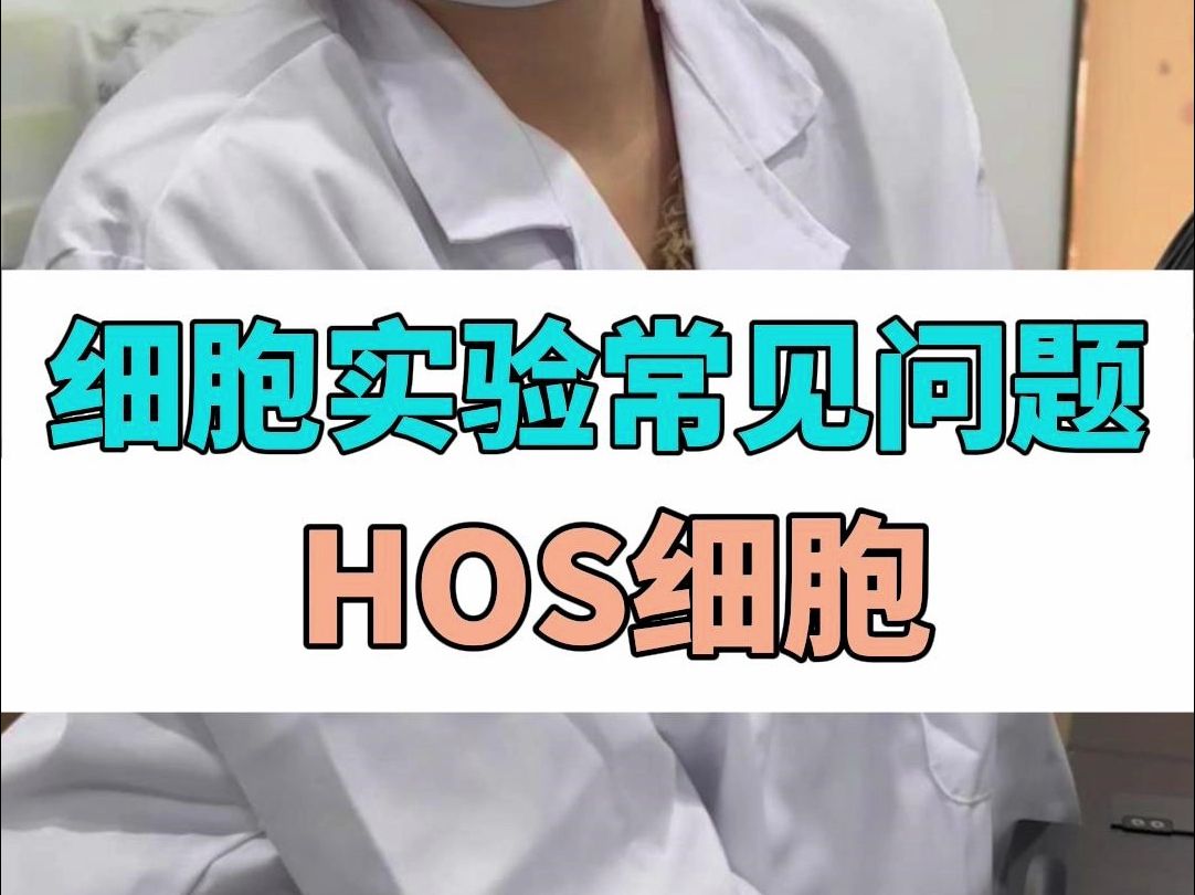 HOS细胞常见问答哔哩哔哩bilibili