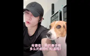 Video herunterladen: 【way v肖俊wvs直播】肖德俊：你鼻子好脏 贝拉：酸Q