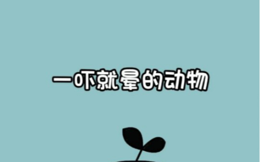 你知道它是什么动物吗?哔哩哔哩bilibili