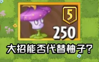 花柚子 哔哩哔哩 Bilibili