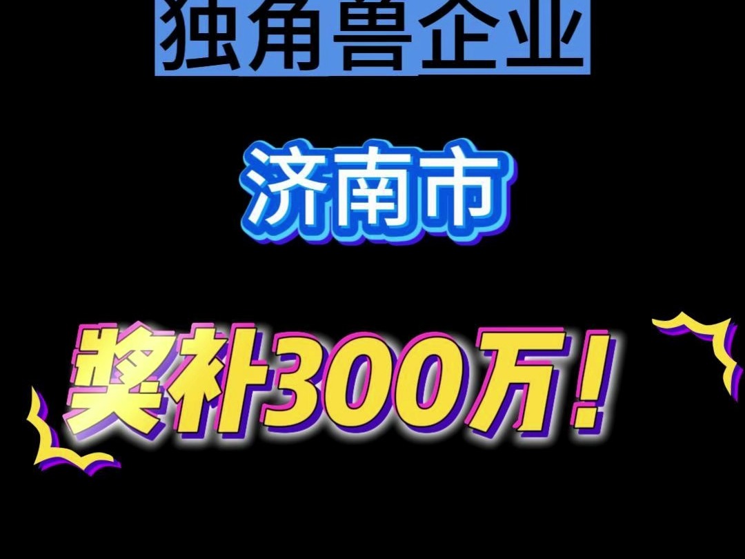 国家级独角兽企业济南市奖补300万!!哔哩哔哩bilibili