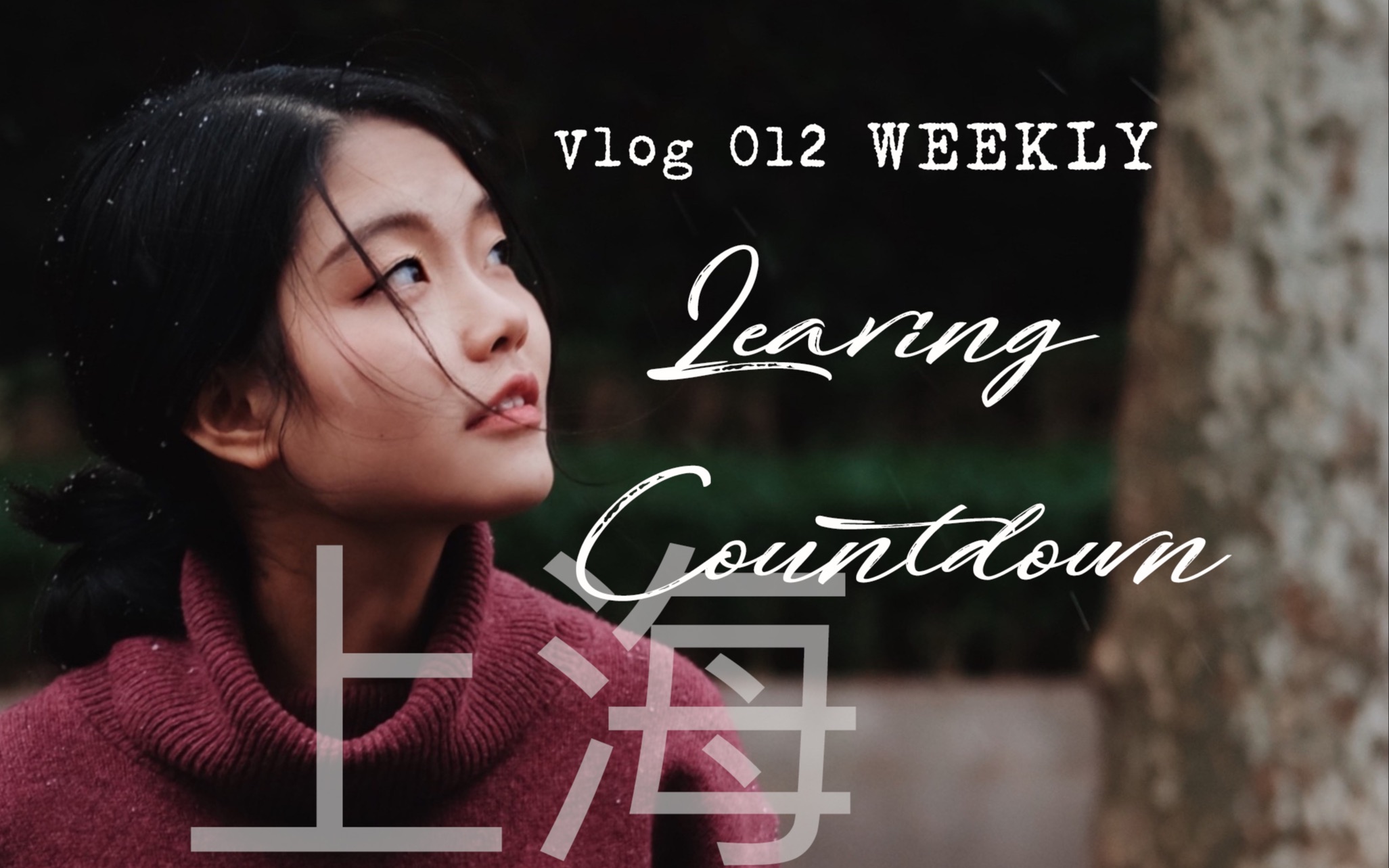 「奎尼」Vlog 012 Weekly❽ | 离开上海的倒计时几天里 Leaving Countdown哔哩哔哩bilibili