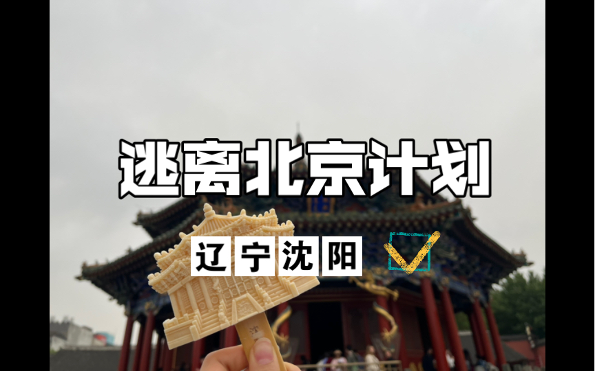 逃离北京计划 第八站辽宁沈阳「小河沿早市、沈阳故宫、张学良旧居、劳动公园、老北市、中街」哔哩哔哩bilibili