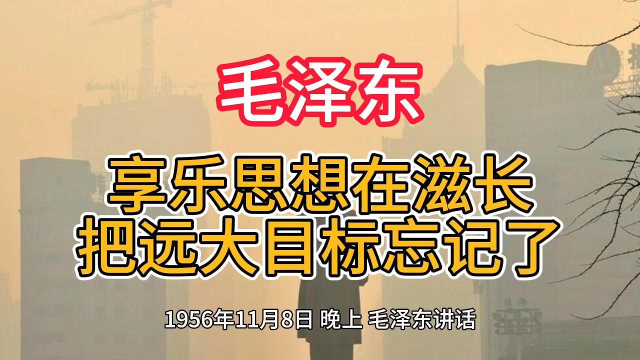 《毛泽东年谱》享乐思想在滋长 把远大目标忘记了——1956年11月8日哔哩哔哩bilibili