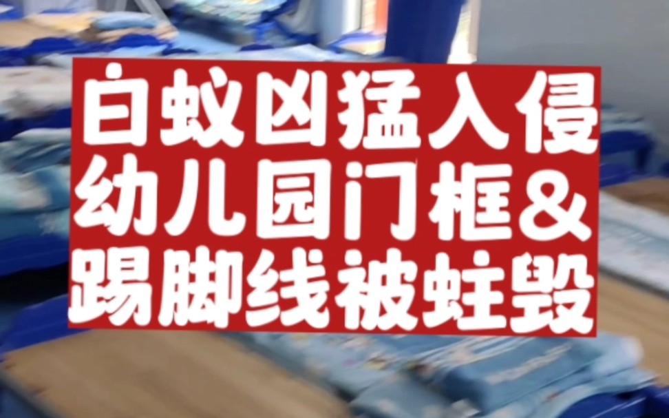 室内门框白蚁防治上门杀灭白蚁除白蚁治白蚂蚁新房装修白蚁预防家里有白蚁怎么办杀白蚁怎么收费广州顺德佛山中山白蚁防治中心站所电话联系方式白蚁消...