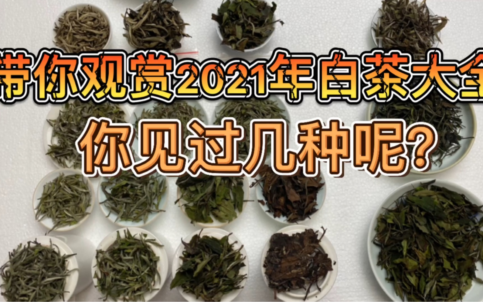 【卖茶哥】2021年白茶大全,你见过几种呢?福鼎白茶政和白茶白豪银针白牡丹贡眉寿命老白茶古树白茶哔哩哔哩bilibili