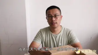 Download Video: 手养玄凤鹦鹉的3个小技巧，新手们你都知道吗