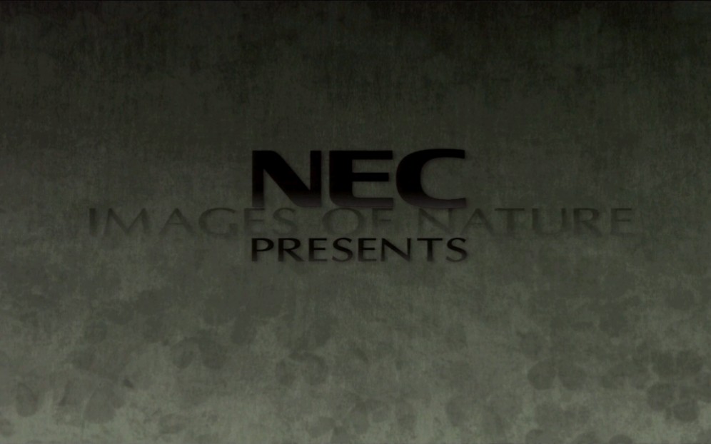 1992年日本NEC日电与索尼公司hivision(HDVS)高清晰度模拟LD镭射光盘演示视频,清晰度达到1080i,令人惊叹画质哔哩哔哩bilibili