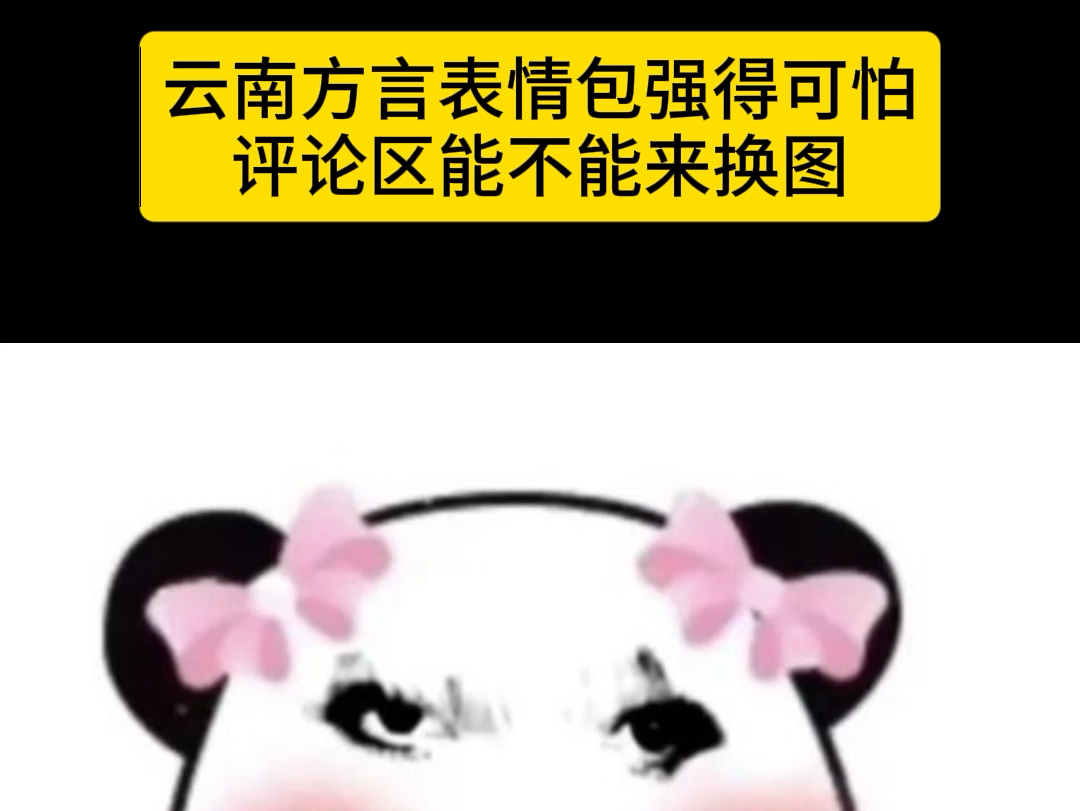 云南方言表情包强得可怕!哔哩哔哩bilibili