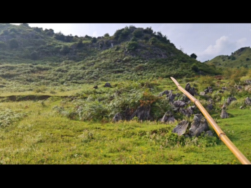 来脉先急后缓起顶,平中见奇“天隐穴”狭狭窄窄独穴地,太漂亮了哔哩哔哩bilibili