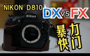 下载视频: 尼康D810在FX模式和DX模式下的快门释放对比